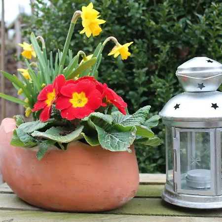 Im Ot Brusow Mit Garten דירה Kröpelin