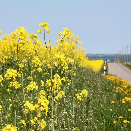 Im Ot Brusow Mit Garten *