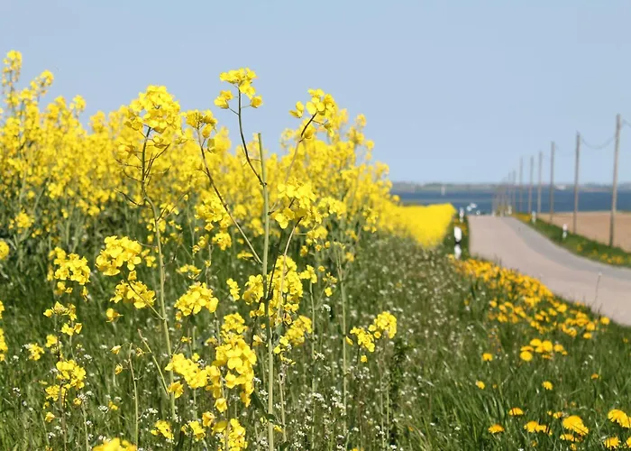 Im Ot Brusow Mit Garten *